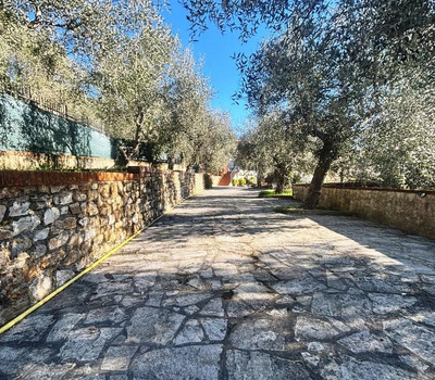 SCHEDA IMMOBILE - Rif.&nbsp;