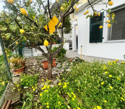 SCHEDA IMMOBILE - Rif.&nbsp;