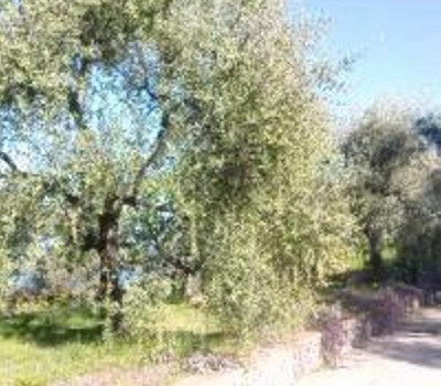 SCHEDA IMMOBILE - Rif.&nbsp;