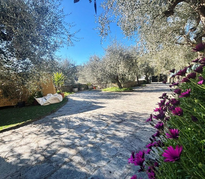 SCHEDA IMMOBILE - Rif.&nbsp;