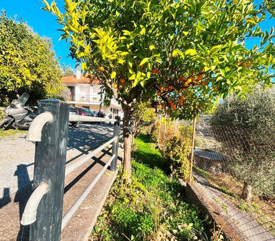 SCHEDA IMMOBILE - Rif.&nbsp;