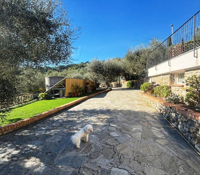 SCHEDA IMMOBILE - Rif.&nbsp;