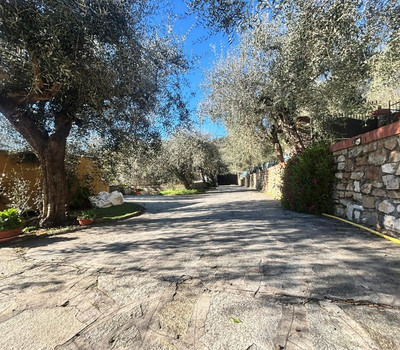 SCHEDA IMMOBILE - Rif.&nbsp;