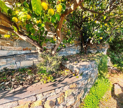 SCHEDA IMMOBILE - Rif.&nbsp;