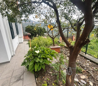 SCHEDA IMMOBILE - Rif.&nbsp;