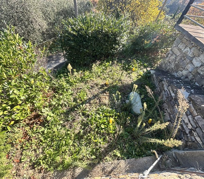 SCHEDA IMMOBILE - Rif.&nbsp;