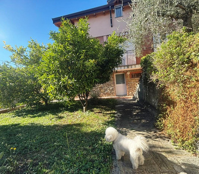 SCHEDA IMMOBILE - Rif.&nbsp;