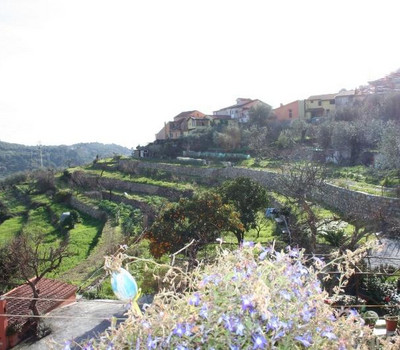 SCHEDA IMMOBILE - Rif.&nbsp;