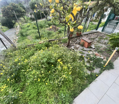 SCHEDA IMMOBILE - Rif.&nbsp;